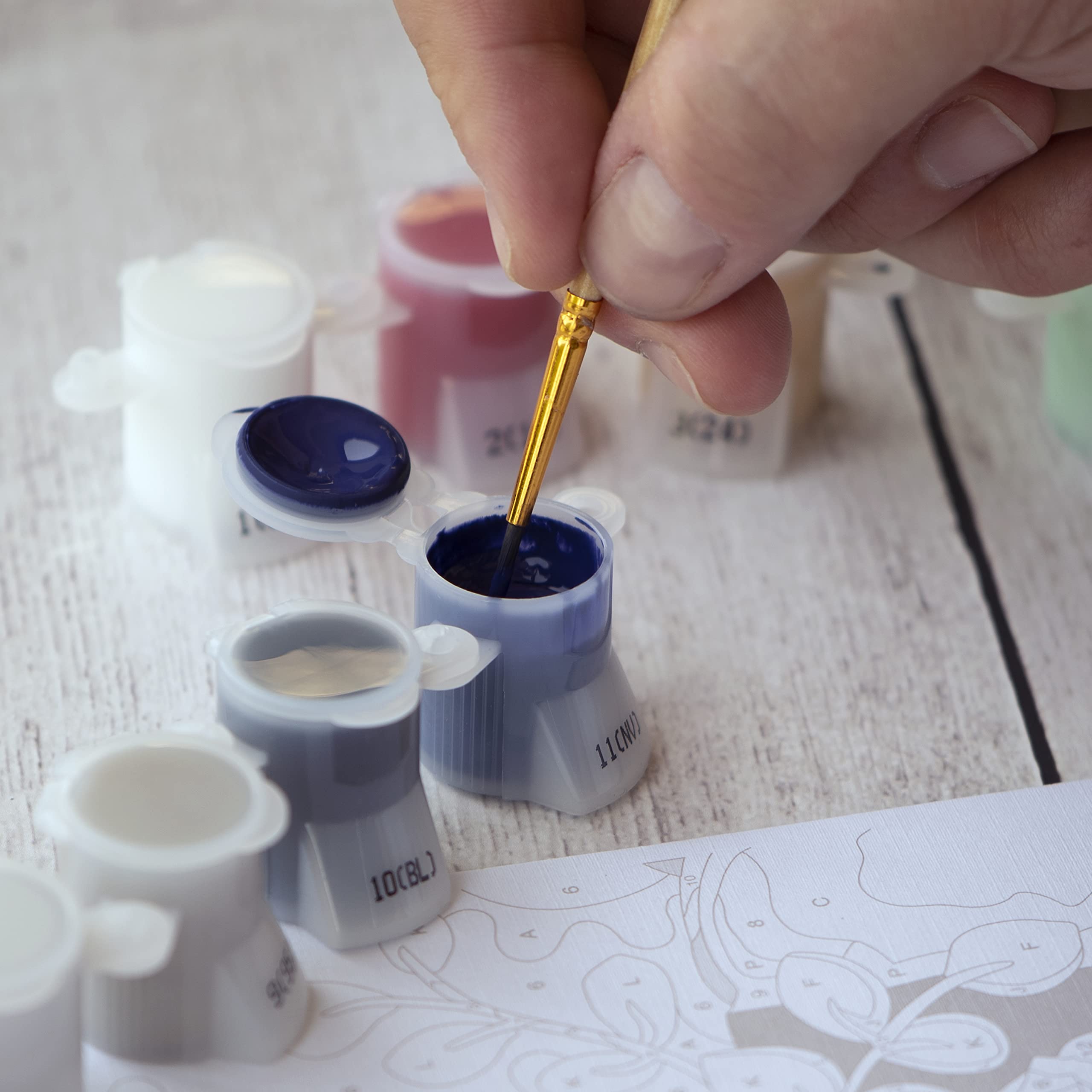 Amazon.com: Dimensions Paint-by-Number Kit, Panda, 8 x 10 inch